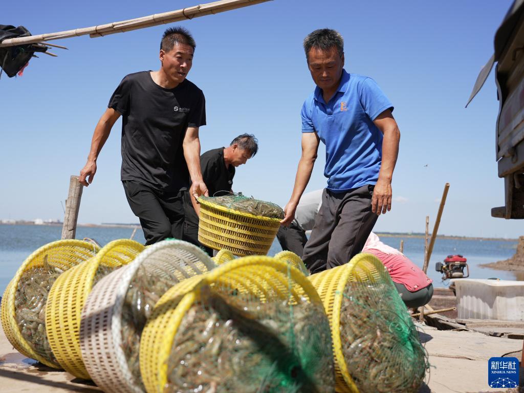 银河国际点击登录